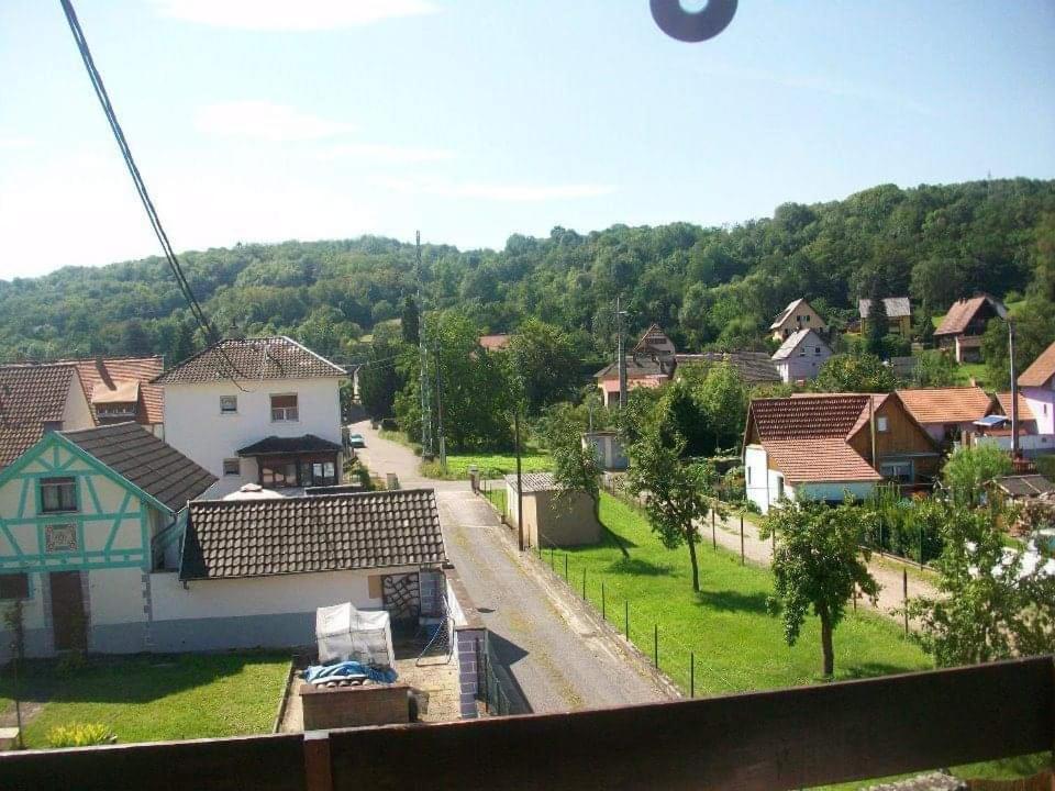 Gite Le Jardin De Hermolsheim. Alsace Tres Spacieux Mutzig Kültér fotó