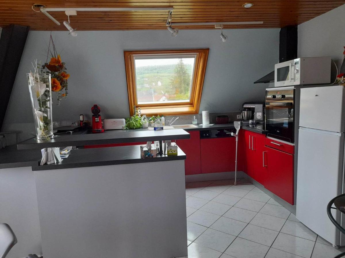 Gite Le Jardin De Hermolsheim. Alsace Tres Spacieux Mutzig Kültér fotó