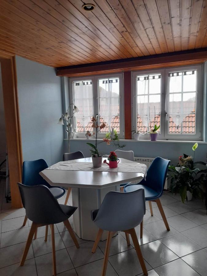 Gite Le Jardin De Hermolsheim. Alsace Tres Spacieux Mutzig Kültér fotó
