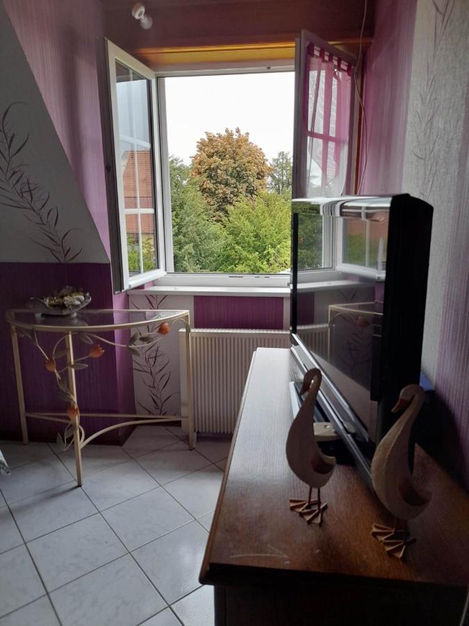 Gite Le Jardin De Hermolsheim. Alsace Tres Spacieux Mutzig Kültér fotó