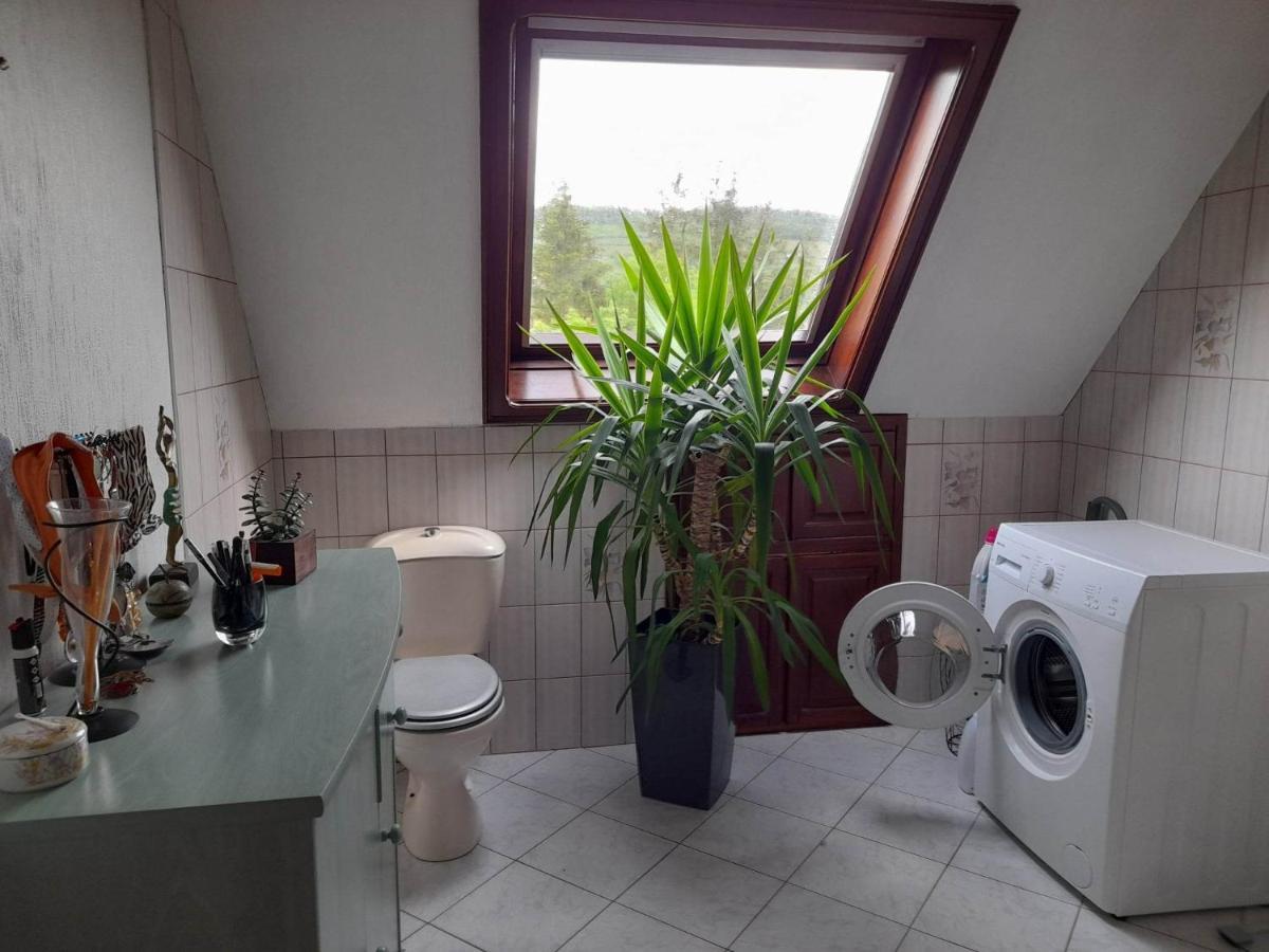 Gite Le Jardin De Hermolsheim. Alsace Tres Spacieux Mutzig Kültér fotó