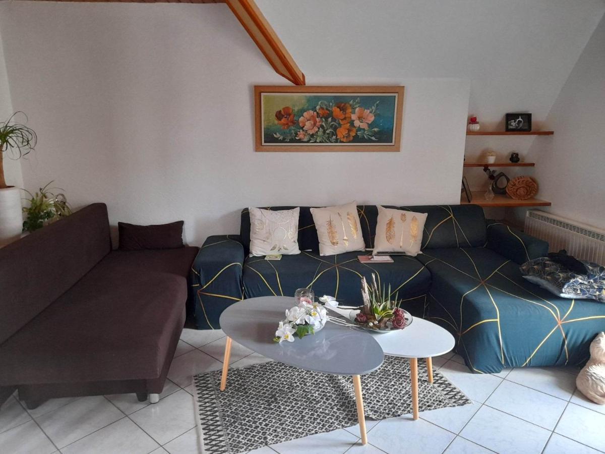 Gite Le Jardin De Hermolsheim. Alsace Tres Spacieux Mutzig Kültér fotó